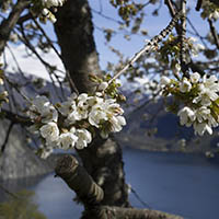 Valldal Camping