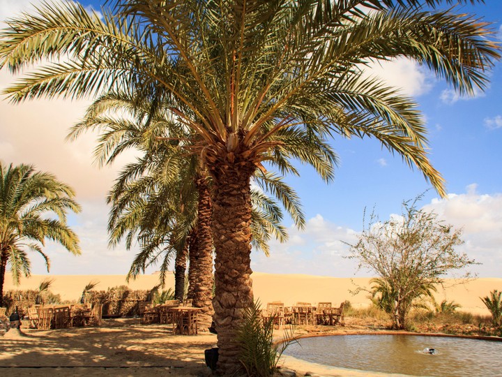 Siwa