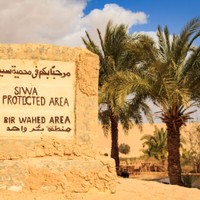 Siwa