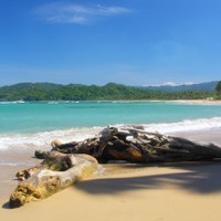 Barahona