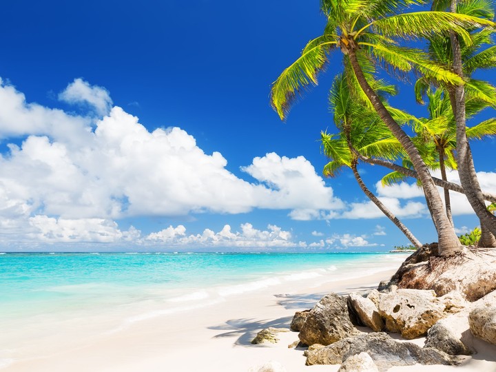 Bavaro