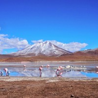 San Pedro de Atacama