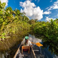 Yasuni