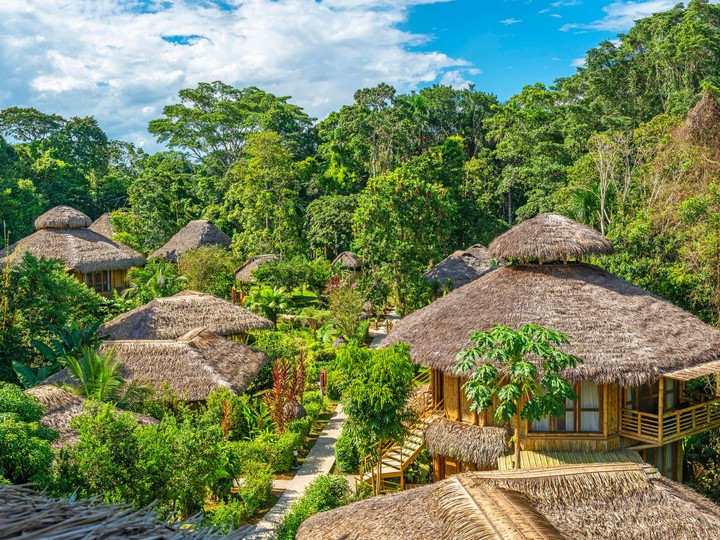 Yasuni