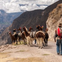Cotahuasi
