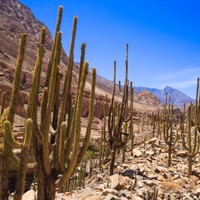 Cotahuasi