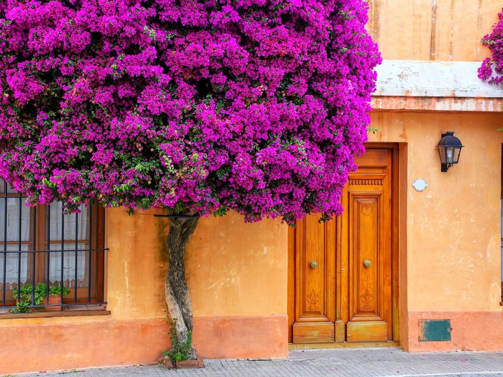 Uruguay