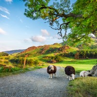 Lake District