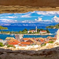 Vis