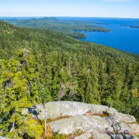 Koli