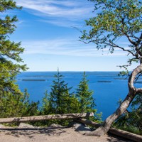 Koli
