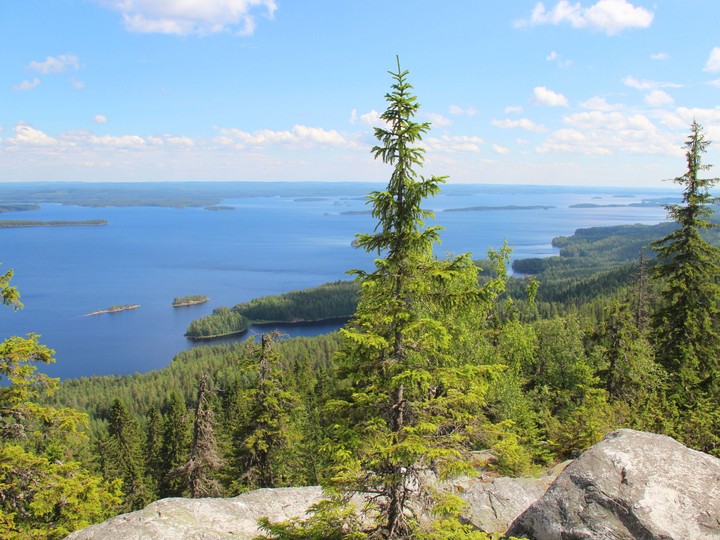 koli