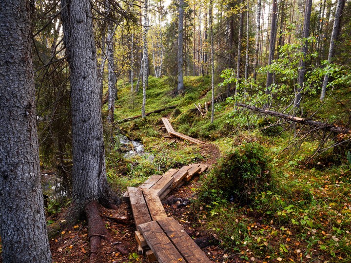 Oulanka