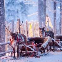 Rovaniemi