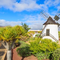 Fuerteventura