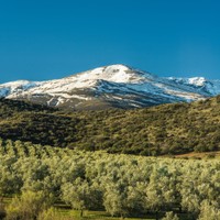 Sierra Nevada