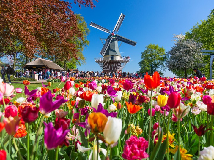 keukenhof