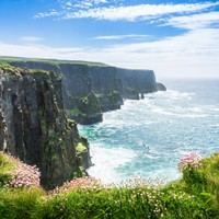 Moher