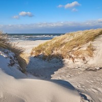 Hiddensee