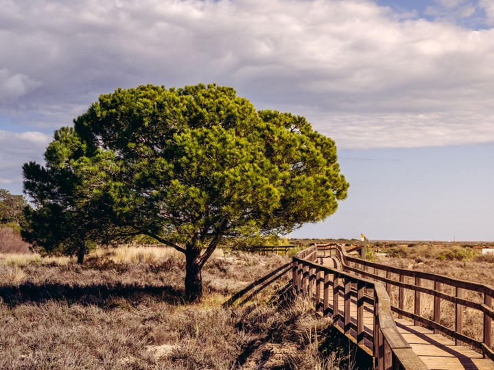 Ria Formosa