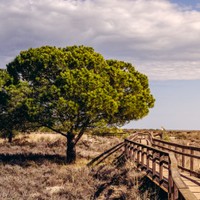 Ria Formosa