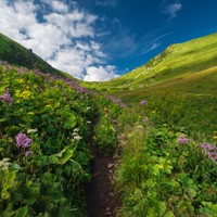 Wysokie Tatry
