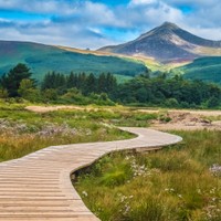 Arran