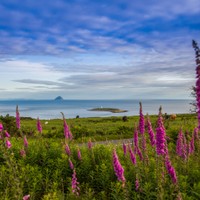 Arran