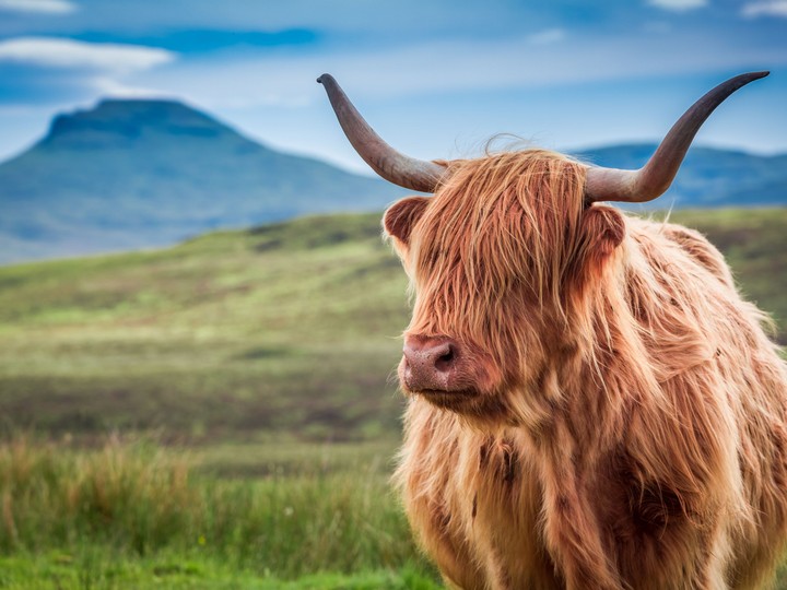 Scotland