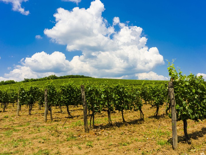 Tokaj, Węgry