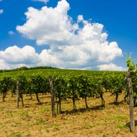 Tokaj