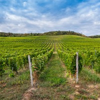 Tokaj