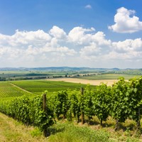 Tokaj