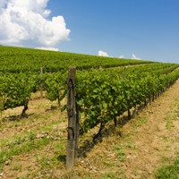 Tokaj