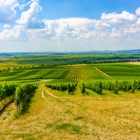 Tokaj
