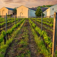 Tokaj